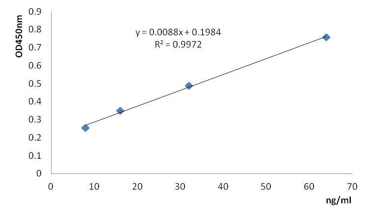 1643007664169847.jpg ova2.jpg