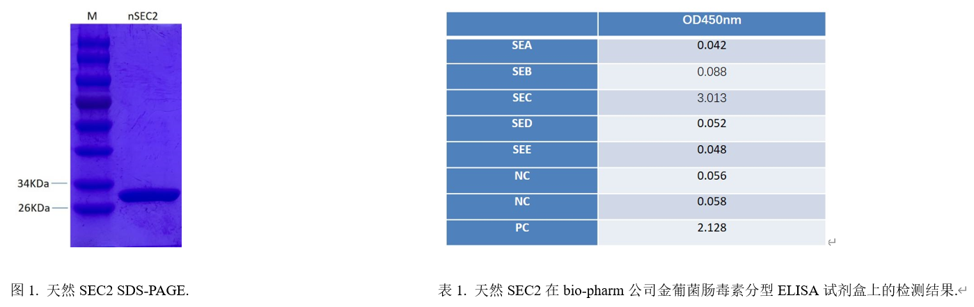 1643008533702893.png 金葡菌腸毒素SEC2.png