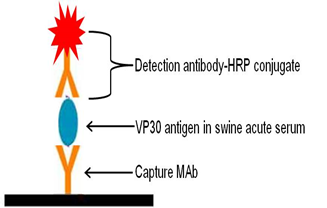 1643008707108893.png image.png