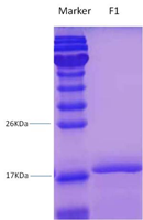 1643009346512106.png image.png