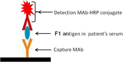 1643009439453381.png image.png