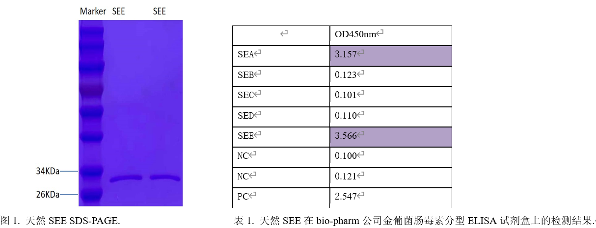 1643009546911598.png 金葡菌腸毒素SEE.png
