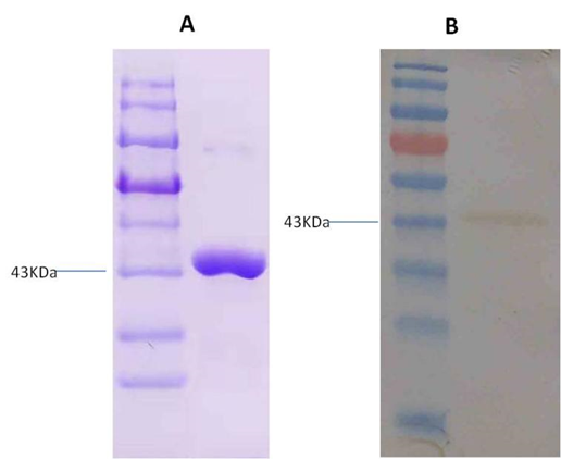 1643011424346322.png image.png