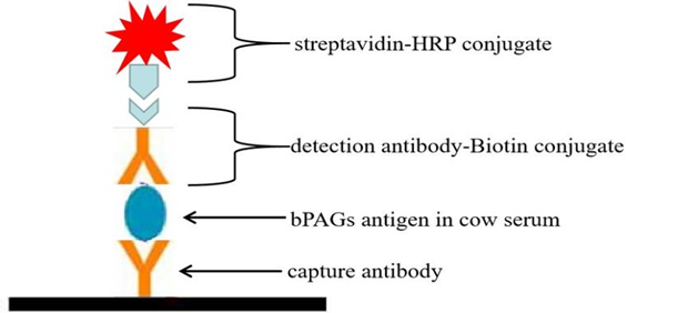 1676943412687813.png image.png