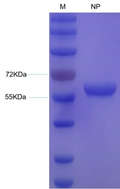 1682470595161671.png image.png