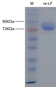 1692757804587335.png image.png