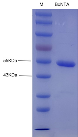 1694676016312567.png image.png