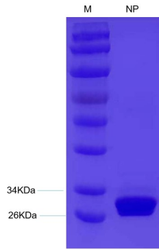 1709882826337240.png image.png