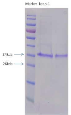 1736134671583703.png image.png